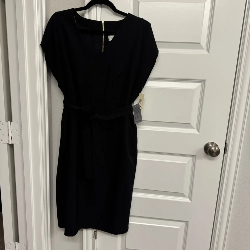 Eliza J Ruffle Sleeve Sheath Dress - Picture 2 of 6